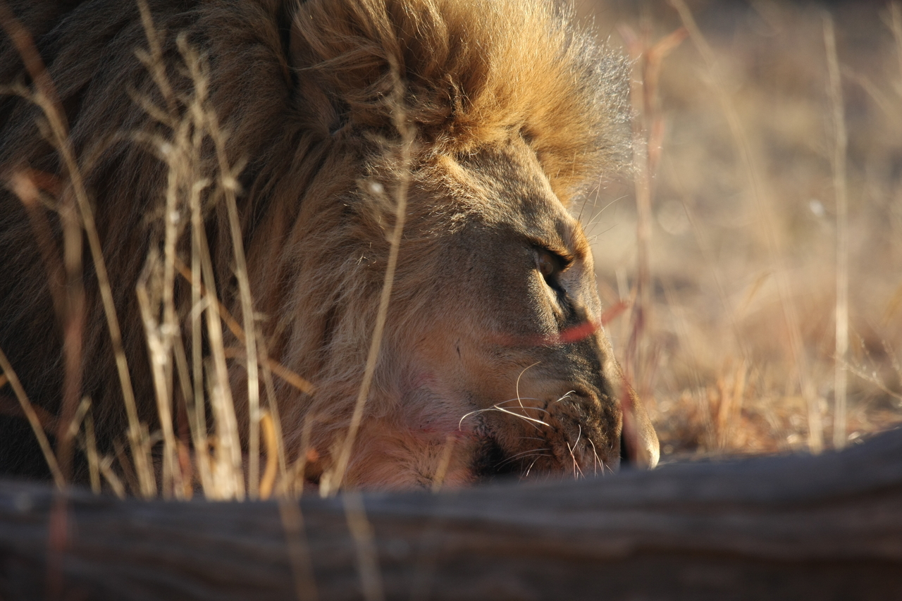 [7731] 2016_06_23_11_44_04_Africa_Canon_EOS_40D_IMG__01821.jpg
