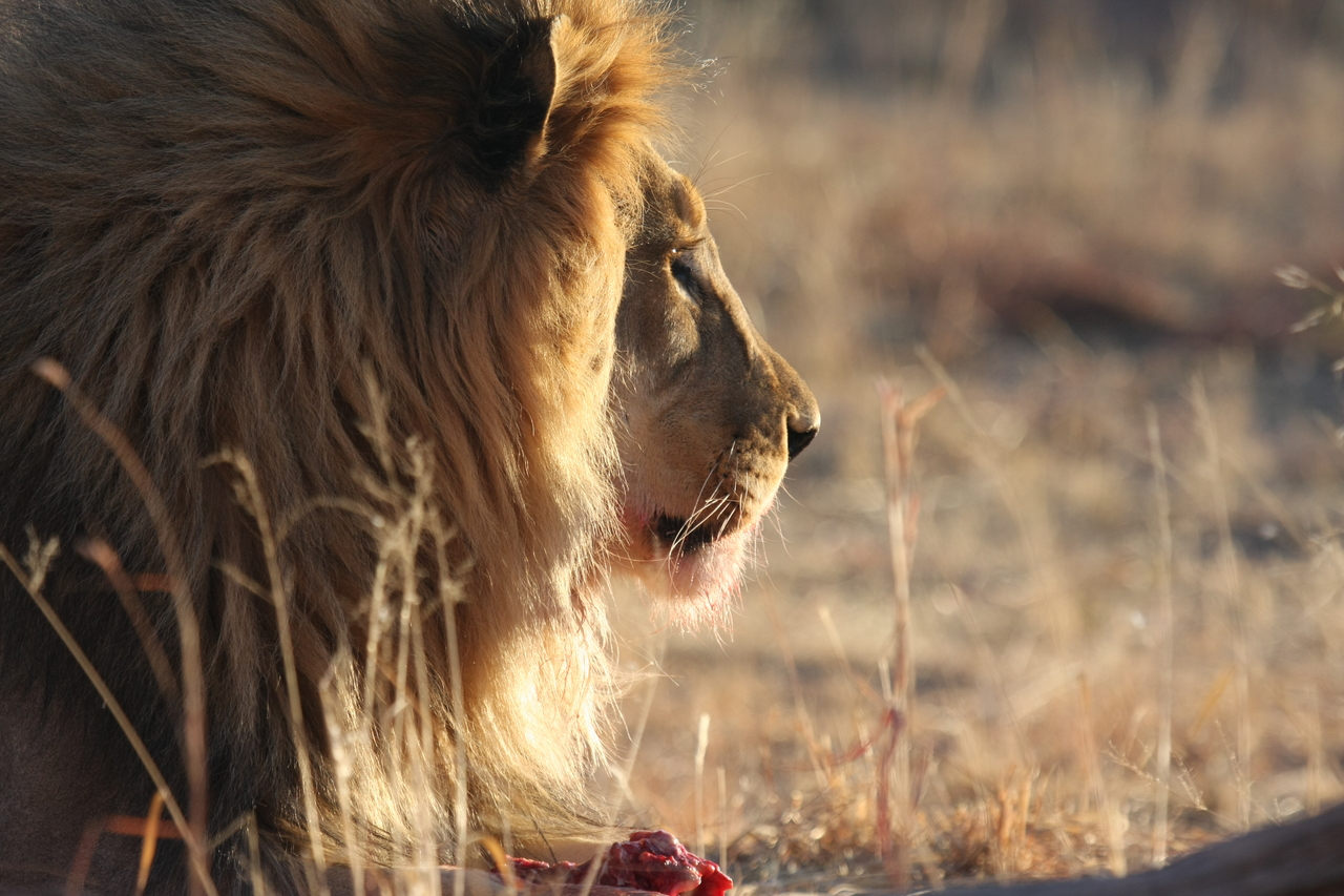 [7758] 2016_06_23_11_45_09_Africa_Canon_EOS_40D_IMG__09307.jpg