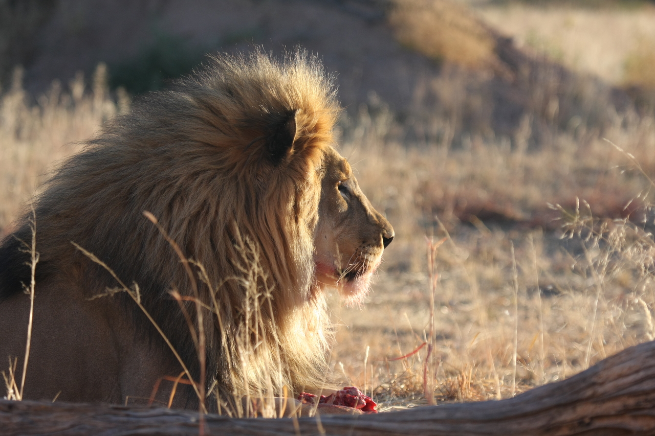 [7764] 2016_06_23_11_45_14_Africa_Canon_EOS_40D_IMG__01864.jpg