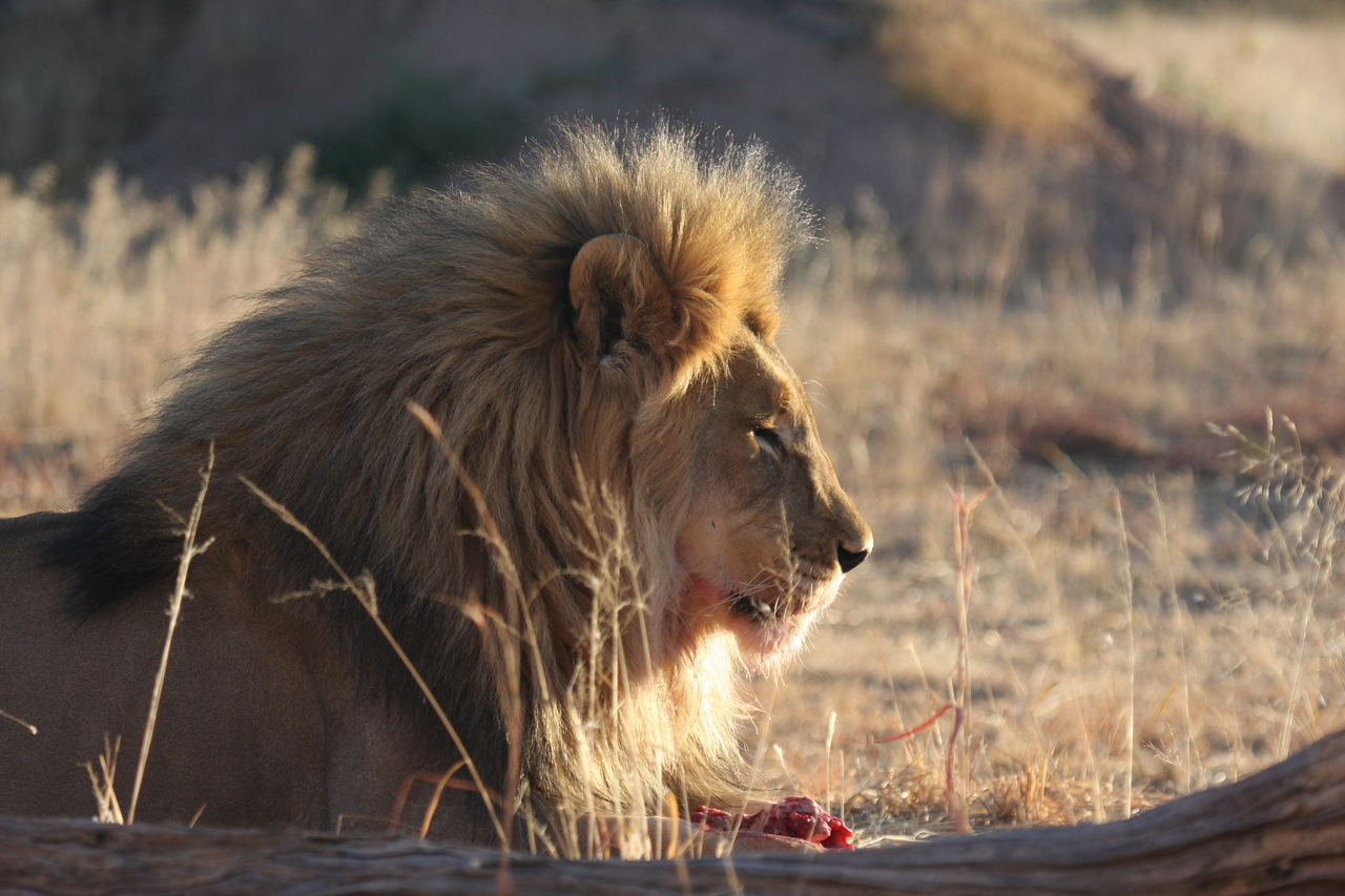 [7783] 2016_06_23_11_45_17_Africa_Canon_EOS_40D_IMG__09317.jpg