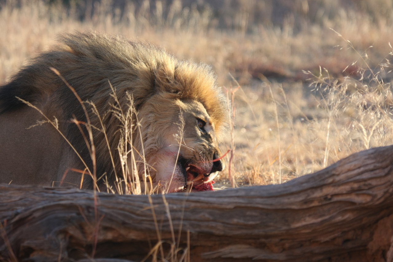 [7784] 2016_06_23_11_45_50_Africa_Canon_EOS_40D_IMG__01037.jpg
