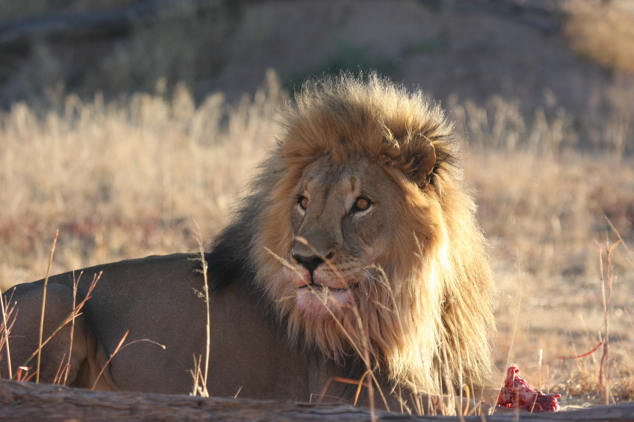 [7794] 2016_06_23_11_46_00_Africa_Canon_EOS_40D_IMG__01875.jpg