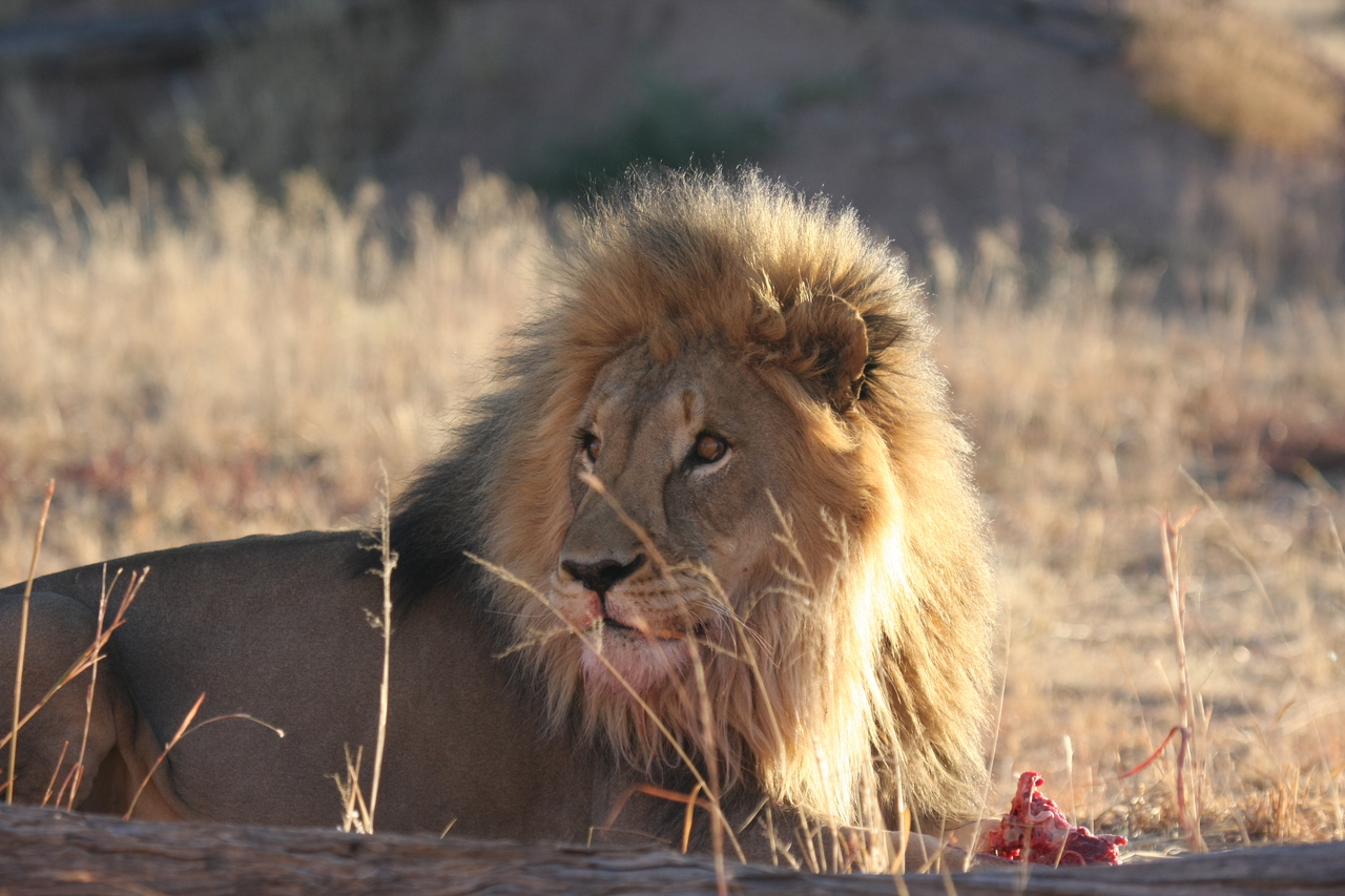 [7801] 2016_06_23_11_46_01_Africa_Canon_EOS_40D_IMG__09324.jpg