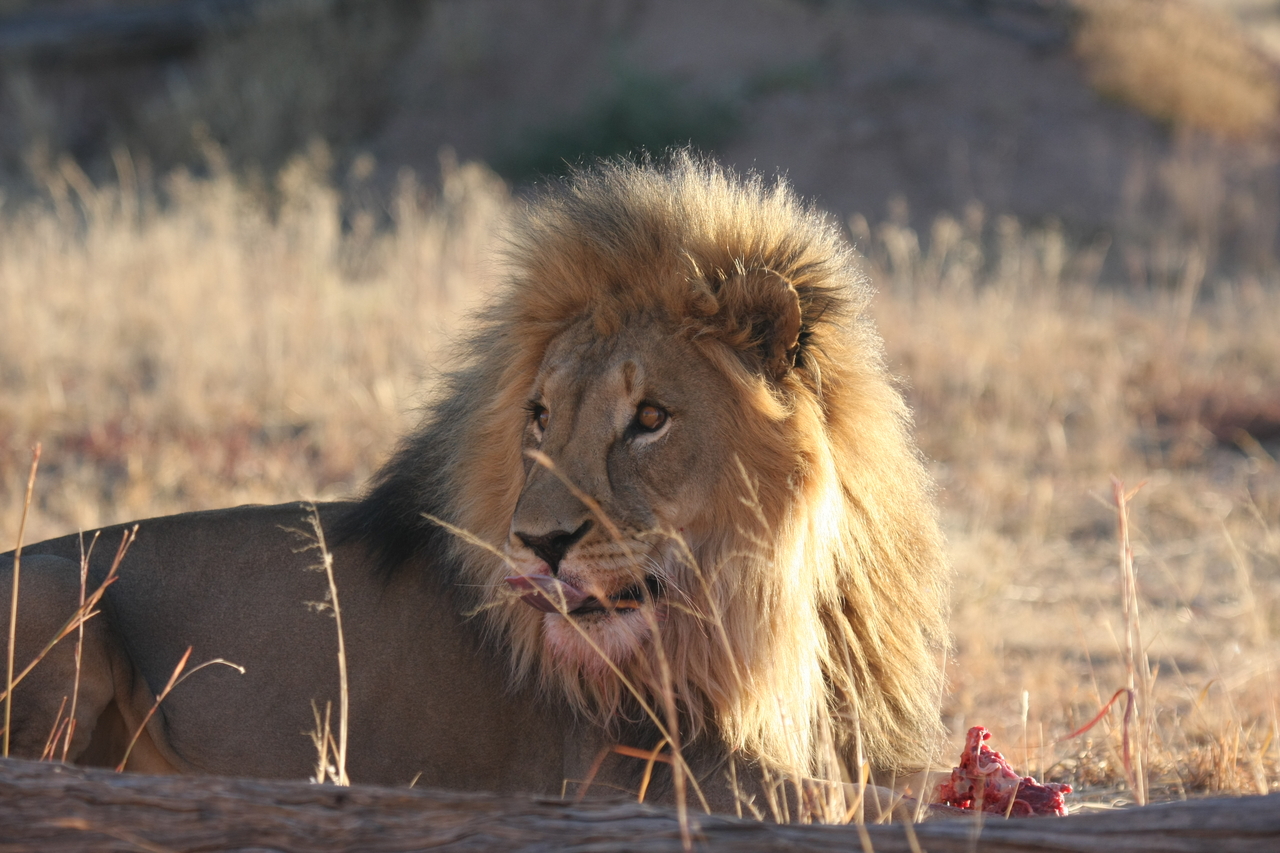 [7805] 2016_06_23_11_46_02_Africa_Canon_EOS_40D_IMG__01878.jpg