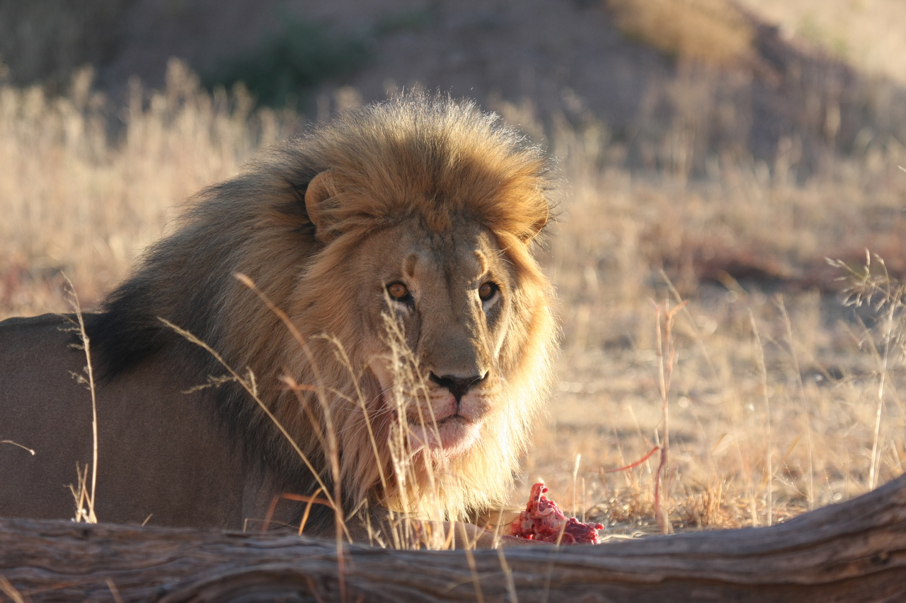 [7812] 2016_06_23_11_46_03_Africa_Canon_EOS_40D_IMG__01881.jpg