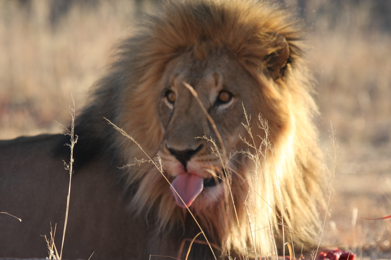 [7833] 2016_06_23_11_46_22_Africa_Canon_EOS_40D_IMG__01052.jpg