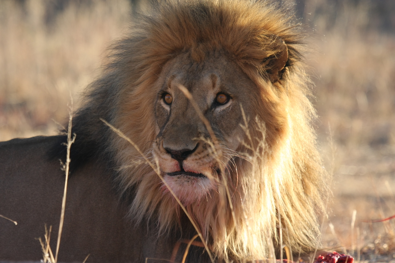 [7840] 2016_06_23_11_46_22_Africa_Canon_EOS_40D_IMG__09334.jpg
