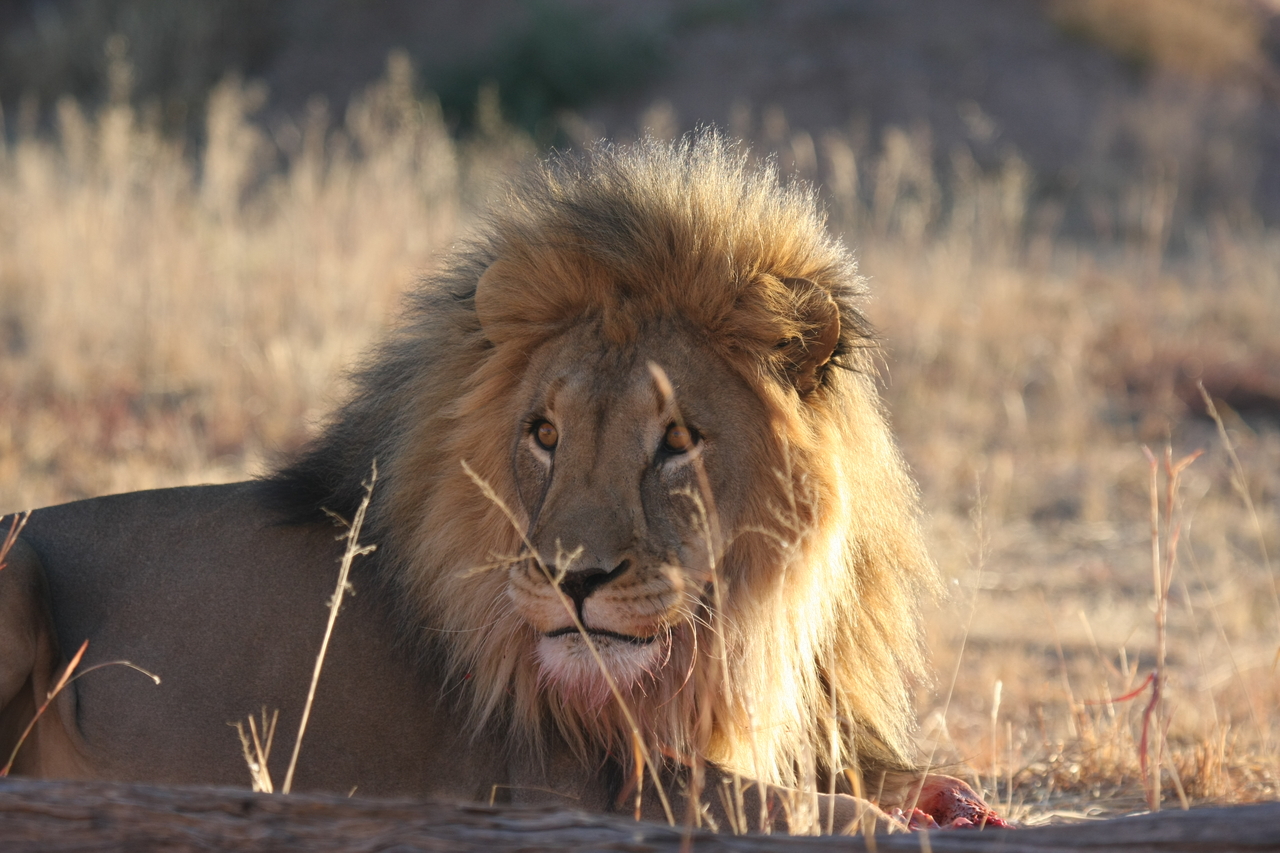 [7892] 2016_06_23_11_47_23_Africa_Canon_EOS_40D_IMG__01903.jpg