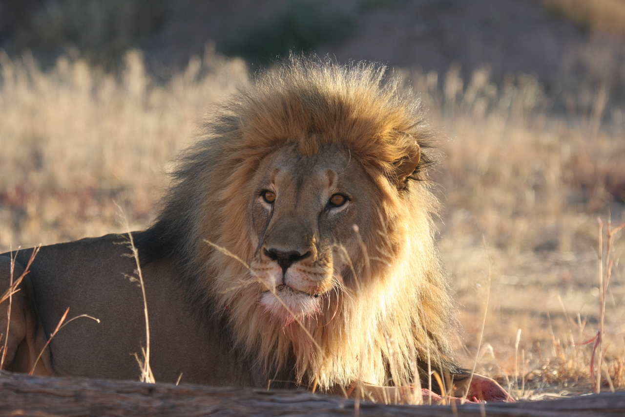 [7897] 2016_06_23_11_47_29_Africa_Canon_EOS_40D_IMG__01904.jpg
