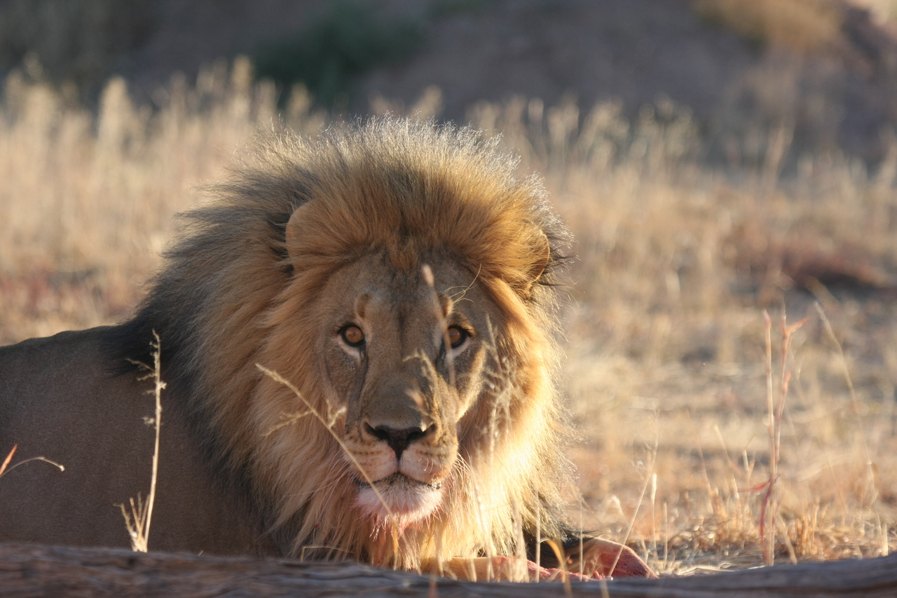 [7899] 2016_06_23_11_47_29_Africa_Canon_EOS_40D_IMG__01907.jpg
