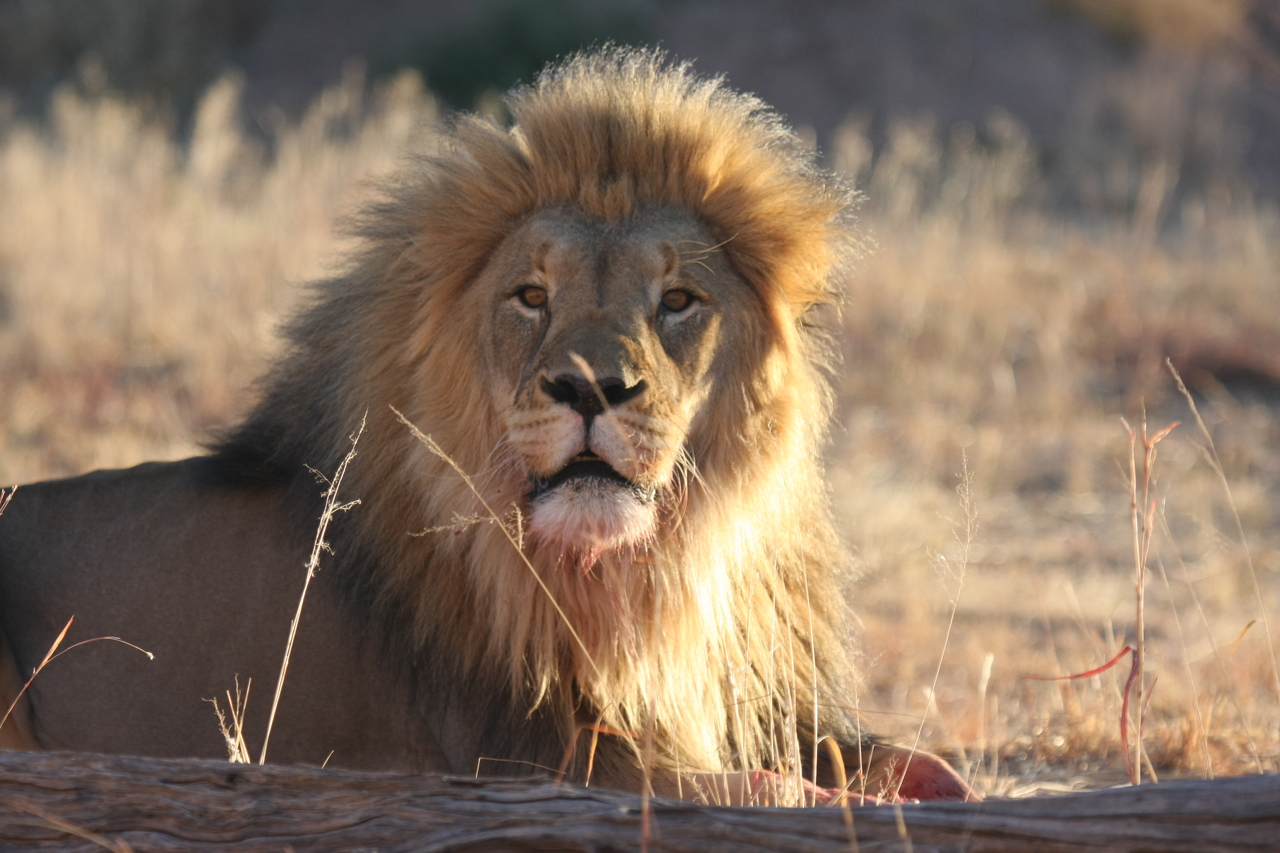 [7905] 2016_06_23_11_47_30_Africa_Canon_EOS_40D_IMG__01076.jpg