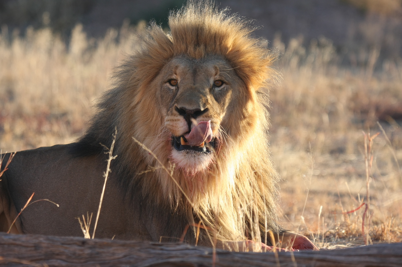 [7912] 2016_06_23_11_47_31_Africa_Canon_EOS_40D_IMG__01077.jpg