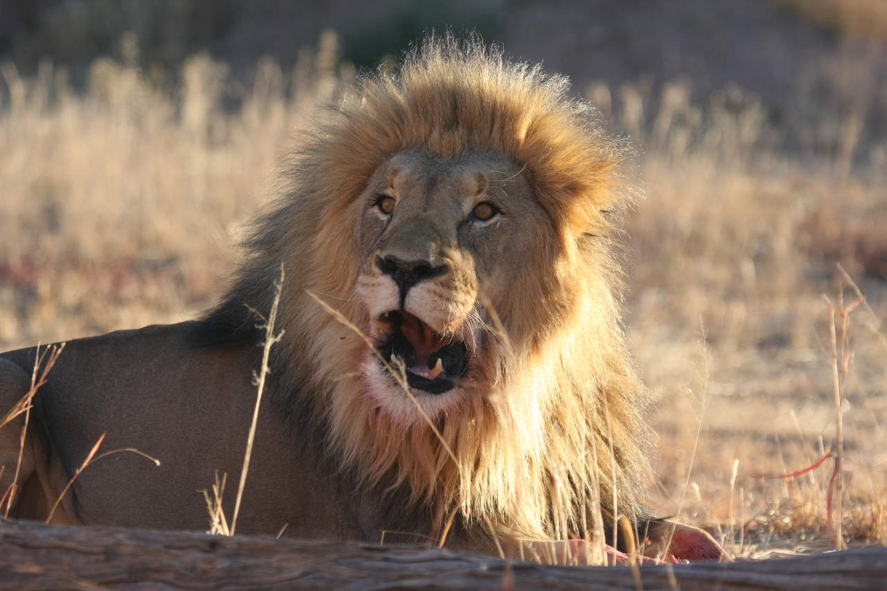 [7925] 2016_06_23_11_47_32_Africa_Canon_EOS_40D_IMG__01915.jpg