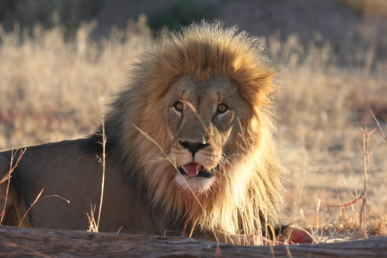 [7930] 2016_06_23_11_47_33_Africa_Canon_EOS_40D_IMG__01084.jpg