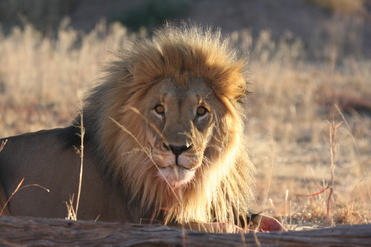 [7935] 2016_06_23_11_47_33_Africa_Canon_EOS_40D_IMG__09366.jpg