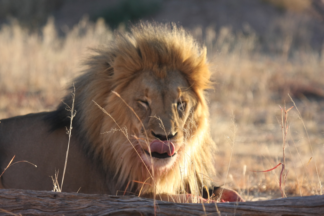 [7937] 2016_06_23_11_47_34_Africa_Canon_EOS_40D_IMG__01920.jpg