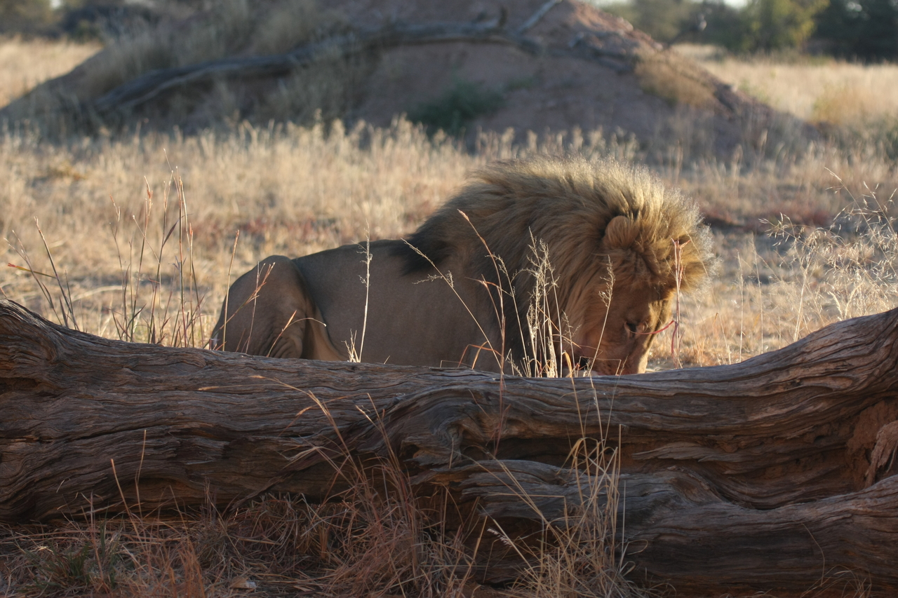 [7952] 2016_06_23_11_48_08_Africa_Canon_EOS_40D_IMG__09371.jpg