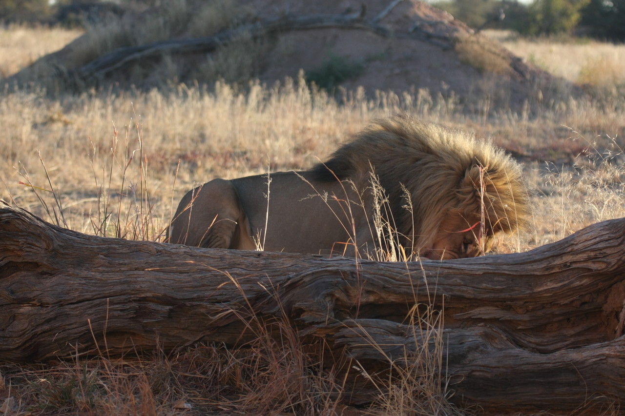 [7955] 2016_06_23_11_48_10_Africa_Canon_EOS_40D_IMG__01092.jpg