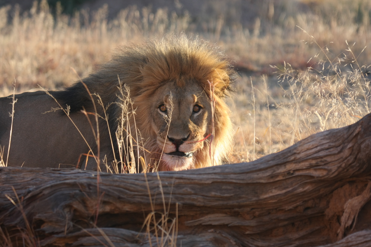 [7969] 2016_06_23_11_48_38_Africa_Canon_EOS_40D_IMG__09038.jpg