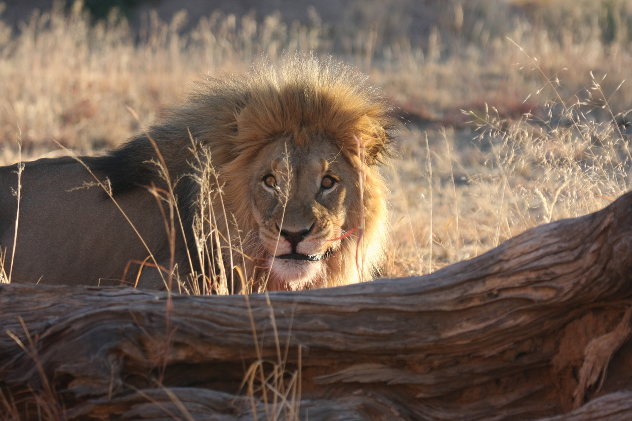 [7978] 2016_06_23_11_48_39_Africa_Canon_EOS_40D_IMG__09041.jpg
