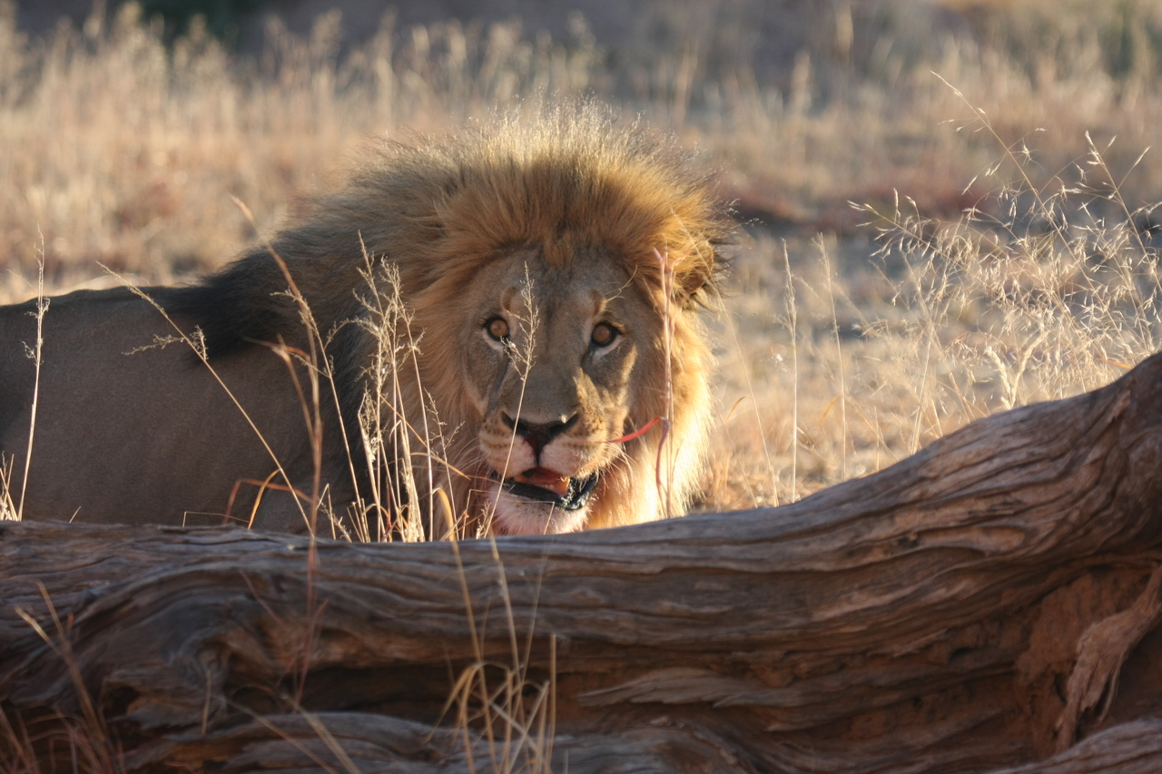 [7979] 2016_06_23_11_48_39_Africa_Canon_EOS_40D_IMG__09042.jpg