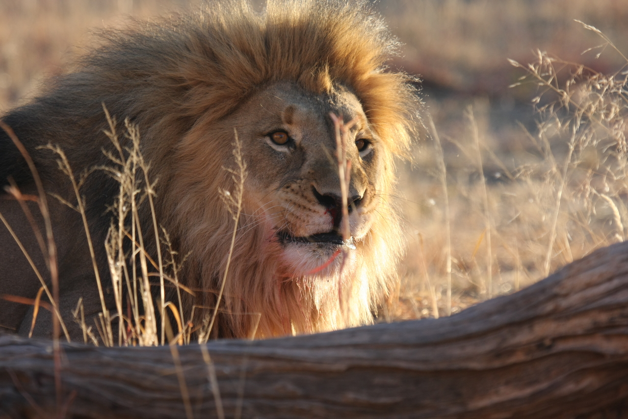 [7986] 2016_06_23_11_48_44_Africa_Canon_EOS_40D_IMG__01600.jpg