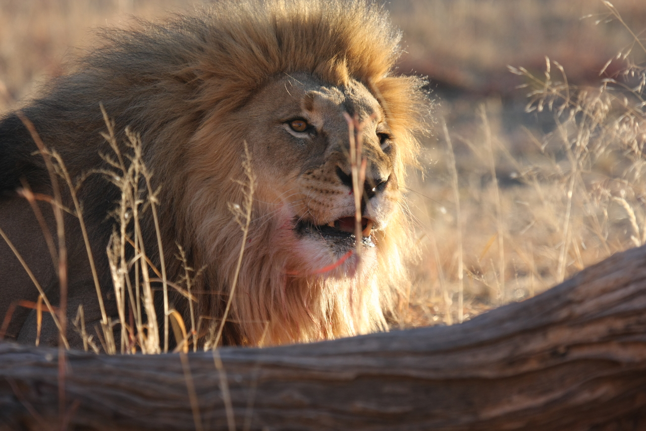 [7987] 2016_06_23_11_48_44_Africa_Canon_EOS_40D_IMG__09044.jpg