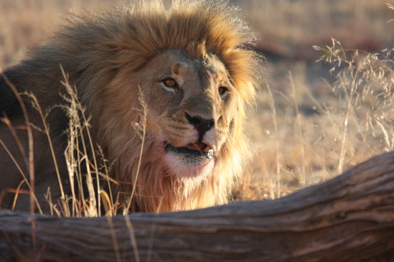 [7996] 2016_06_23_11_48_45_Africa_Canon_EOS_40D_IMG__09048.jpg
