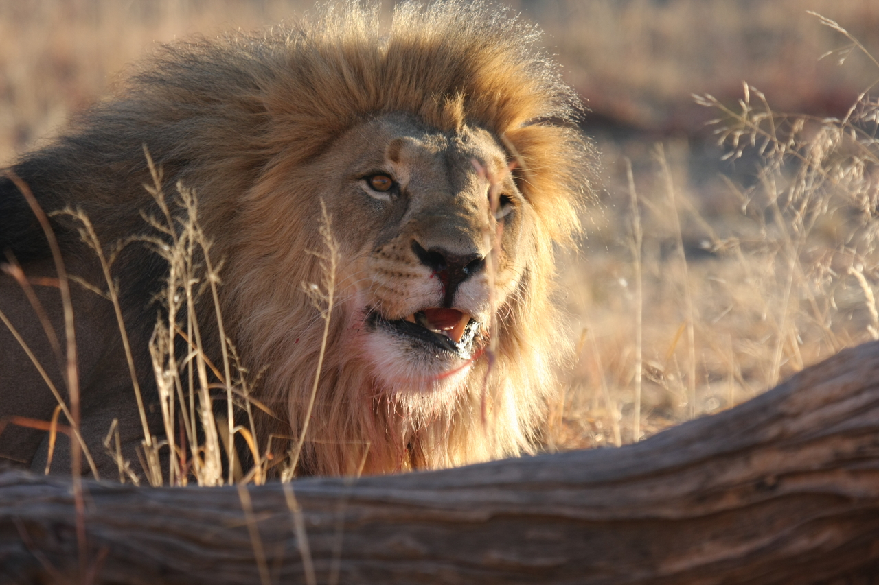 [8005] 2016_06_23_11_48_46_Africa_Canon_EOS_40D_IMG__09051.jpg