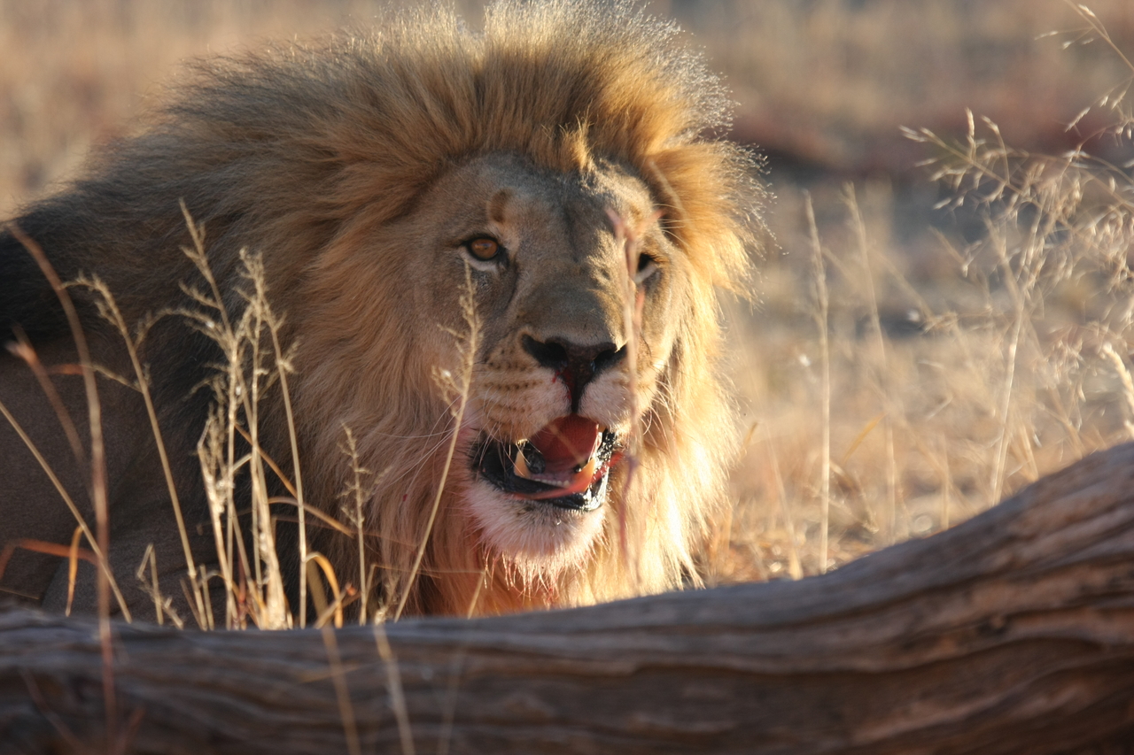 [8006] 2016_06_23_11_48_46_Africa_Canon_EOS_40D_IMG__09052.jpg