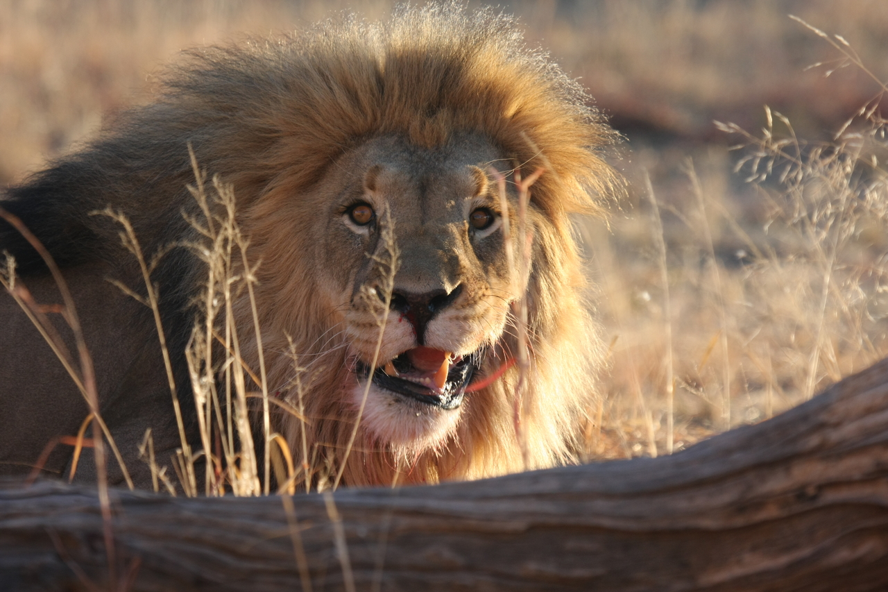 [8018] 2016_06_23_11_48_48_Africa_Canon_EOS_40D_IMG__01611.jpg