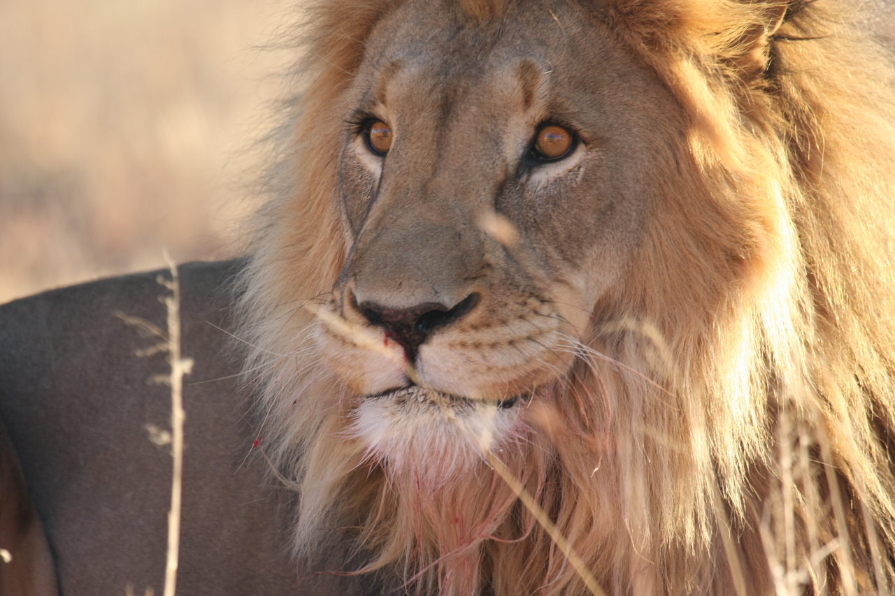 [8036] 2016_06_23_11_49_17_Africa_Canon_EOS_40D_IMG__00784.jpg