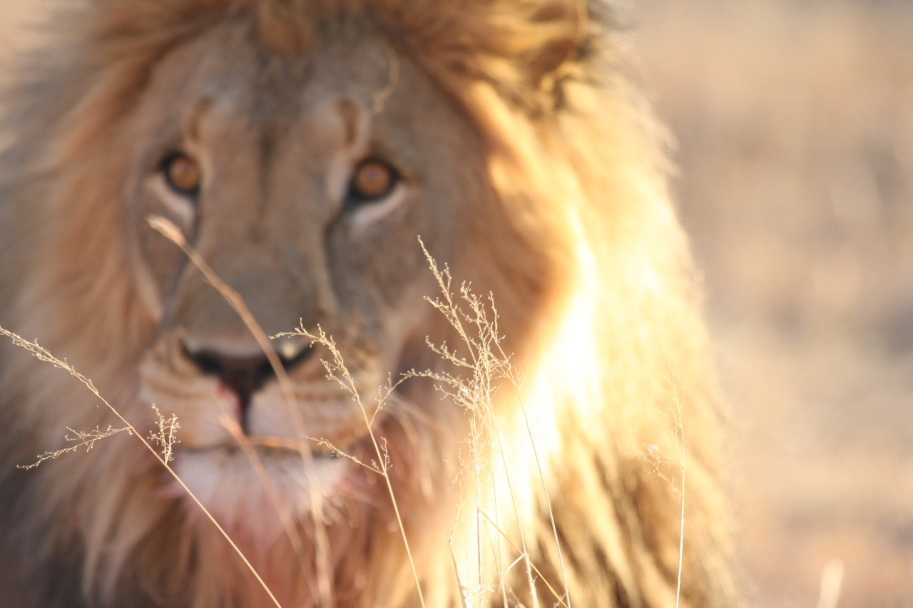 [8043] 2016_06_23_11_49_17_Africa_Canon_EOS_40D_IMG__09066.jpg