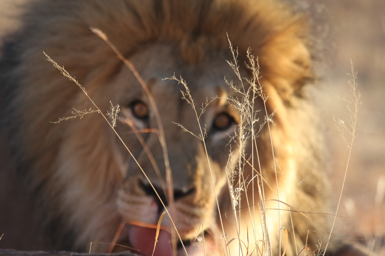 [8051] 2016_06_23_11_49_20_Africa_Canon_EOS_40D_IMG__01623.jpg