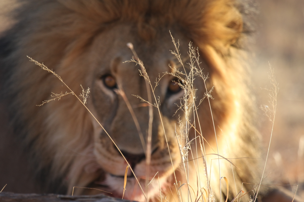 [8055] 2016_06_23_11_49_20_Africa_Canon_EOS_40D_IMG__09071.jpg