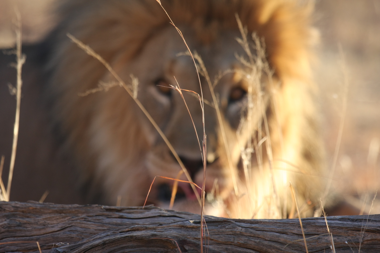 [8059] 2016_06_23_11_49_26_Africa_Canon_EOS_40D_IMG__00792.jpg