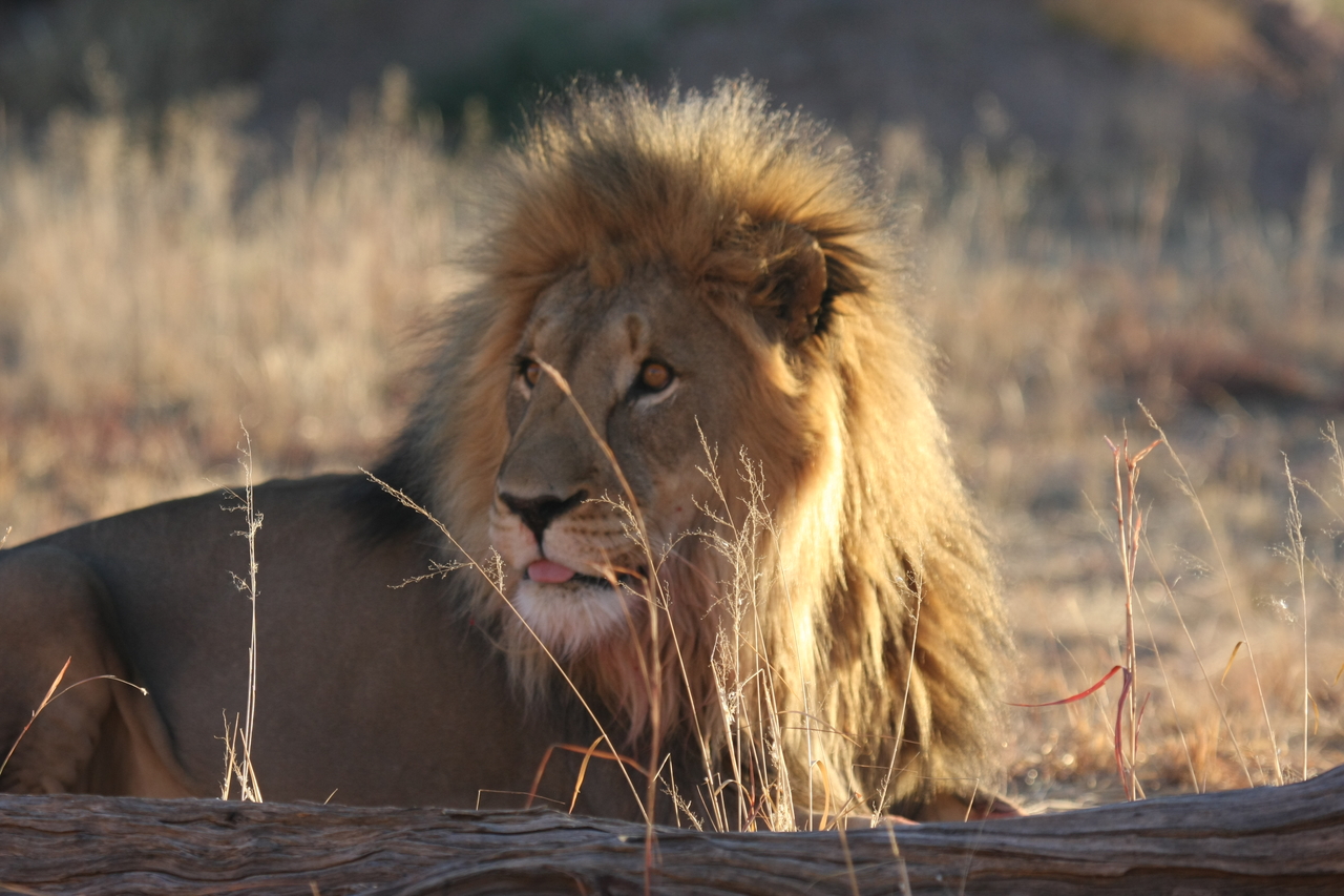 [8079] 2016_06_23_11_51_08_Africa_Canon_EOS_40D_IMG__01634.jpg