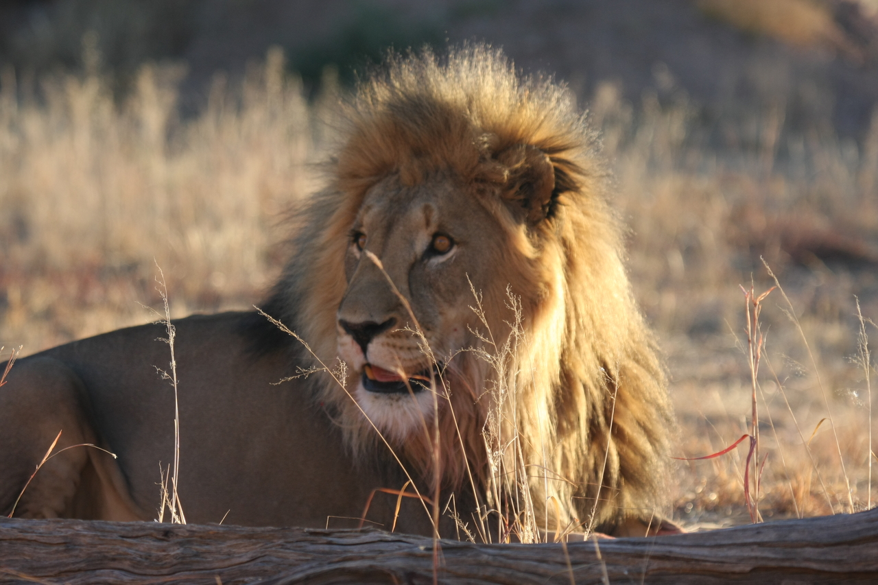 [8080] 2016_06_23_11_51_08_Africa_Canon_EOS_40D_IMG__09078.jpg