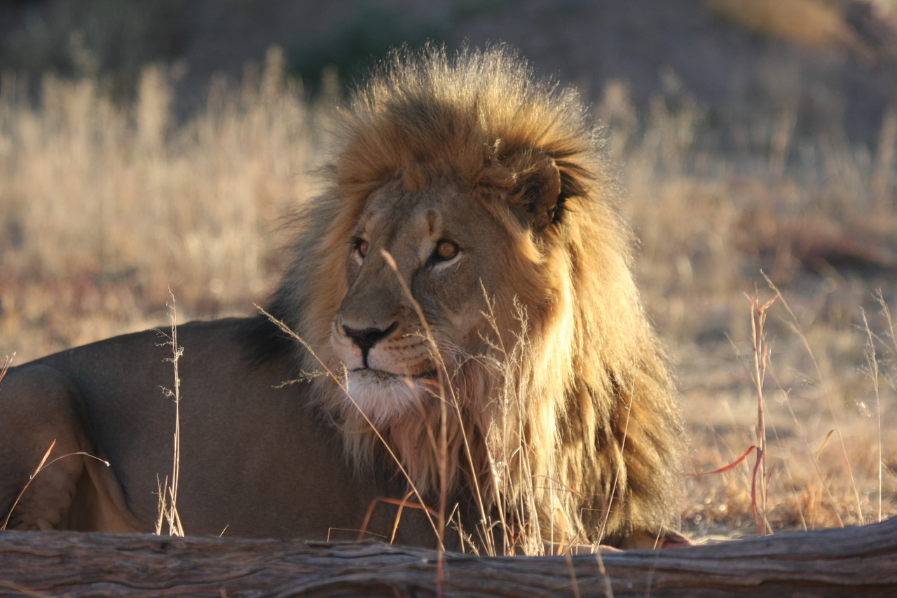 [8081] 2016_06_23_11_51_08_Africa_Canon_EOS_40D_IMG__09080.jpg
