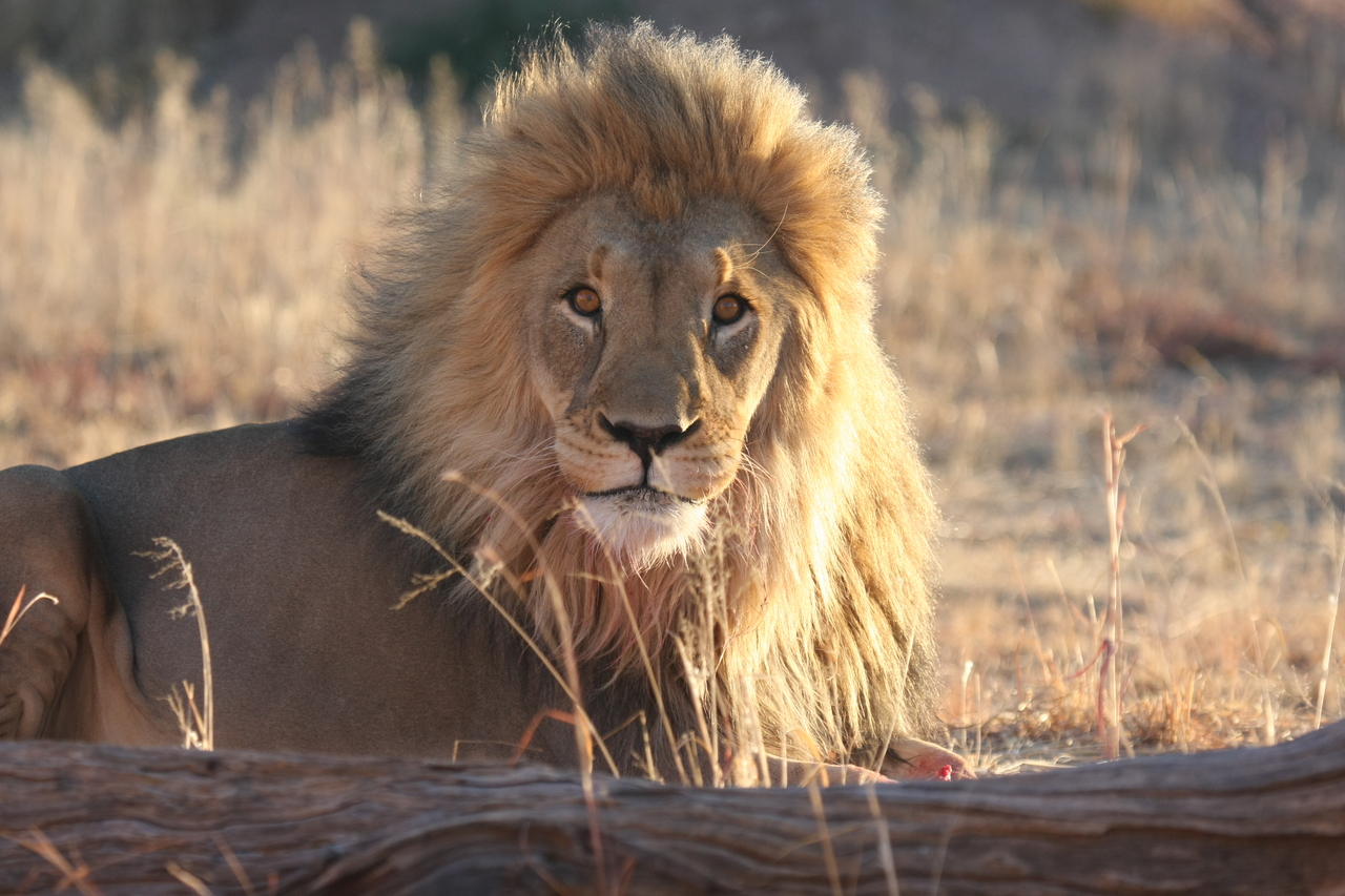 [8111] 2016_06_23_11_51_41_Africa_Canon_EOS_40D_IMG__00812.jpg