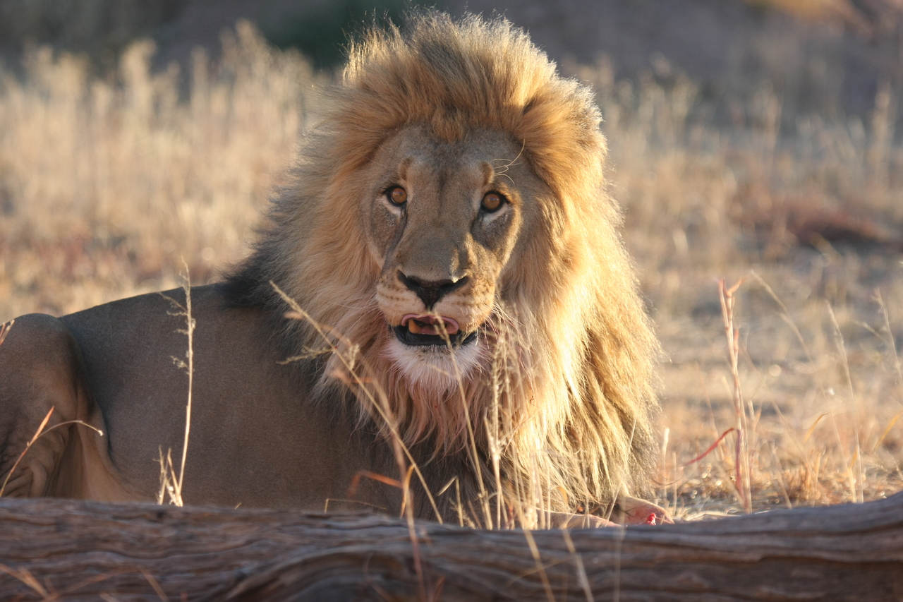 [8114] 2016_06_23_11_51_41_Africa_Canon_EOS_40D_IMG__09092.jpg