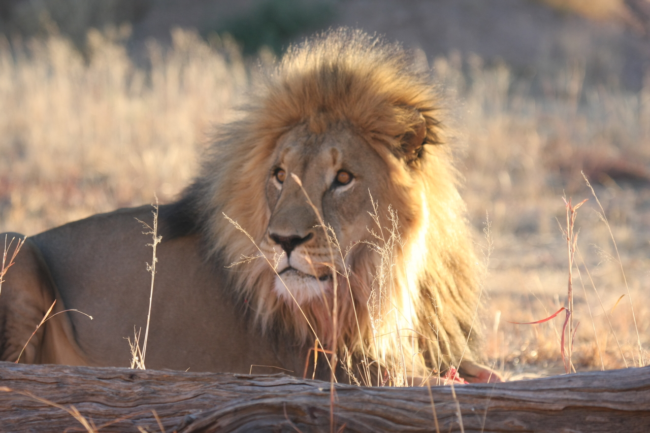[8132] 2016_06_23_11_51_54_Africa_Canon_EOS_40D_IMG__01652.jpg