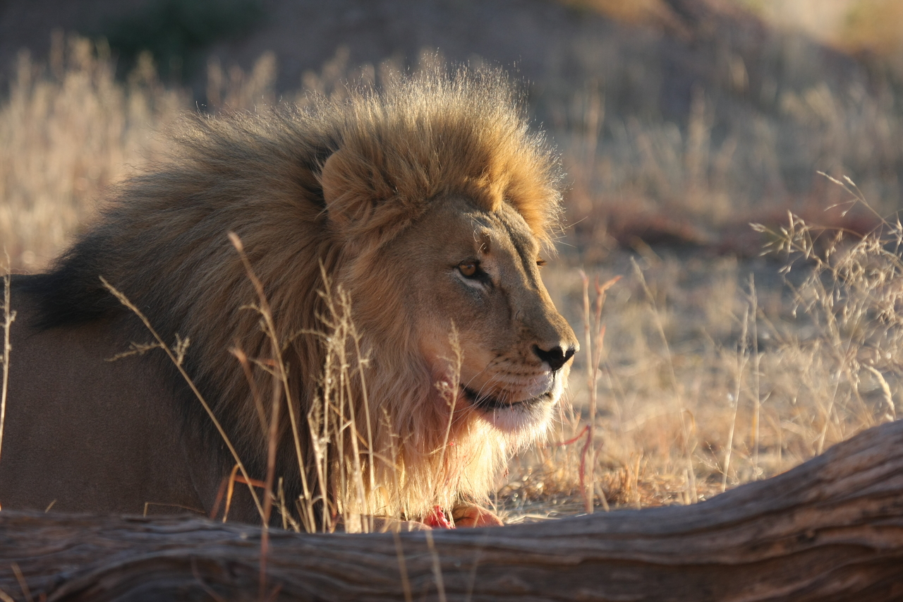 [8145] 2016_06_23_11_51_58_Africa_Canon_EOS_40D_IMG__01658.jpg