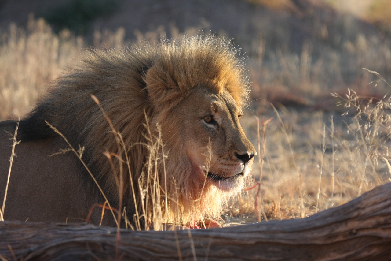 [8155] 2016_06_23_11_51_59_Africa_Canon_EOS_40D_IMG__09106.jpg