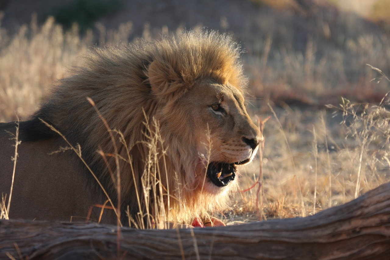 [8157] 2016_06_23_11_51_59_Africa_Canon_EOS_40D_IMG__09108.jpg