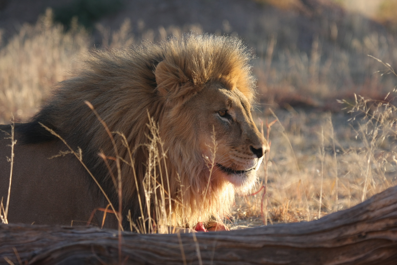 [8162] 2016_06_23_11_52_00_Africa_Canon_EOS_40D_IMG__09109.jpg