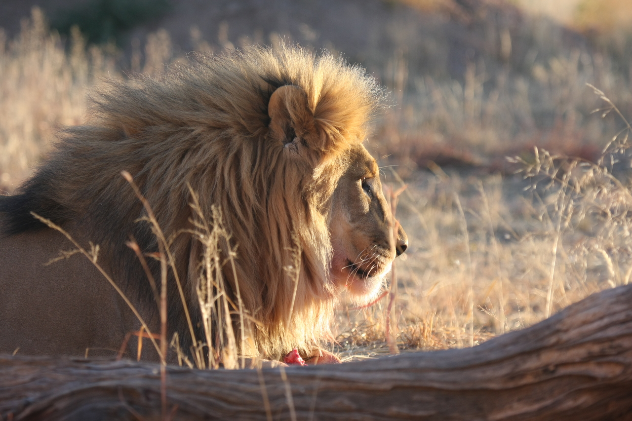 [8167] 2016_06_23_11_52_03_Africa_Canon_EOS_40D_IMG__01666.jpg
