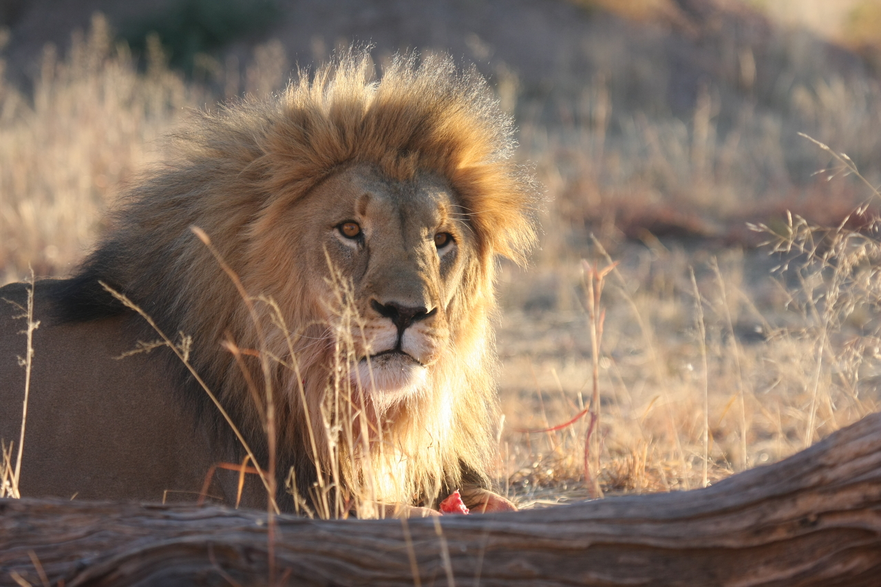 [8175] 2016_06_23_11_52_04_Africa_Canon_EOS_40D_IMG__09115.jpg