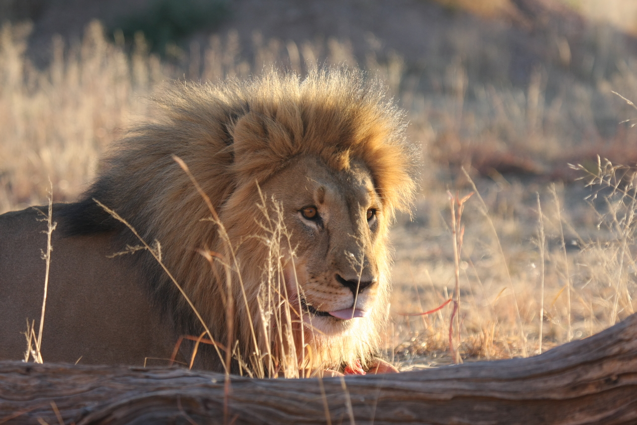 [8178] 2016_06_23_11_52_05_Africa_Canon_EOS_40D_IMG__00837.jpg