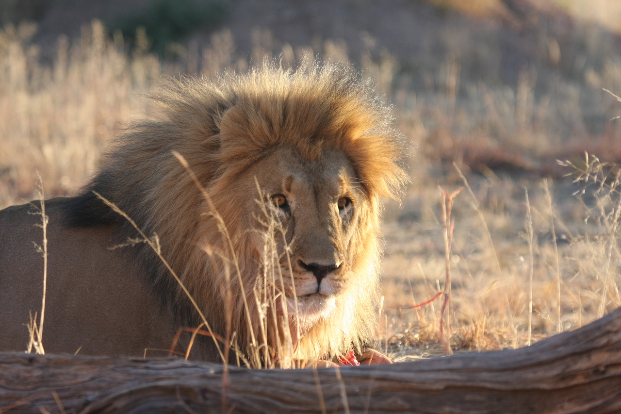 [8183] 2016_06_23_11_52_05_Africa_Canon_EOS_40D_IMG__09117.jpg
